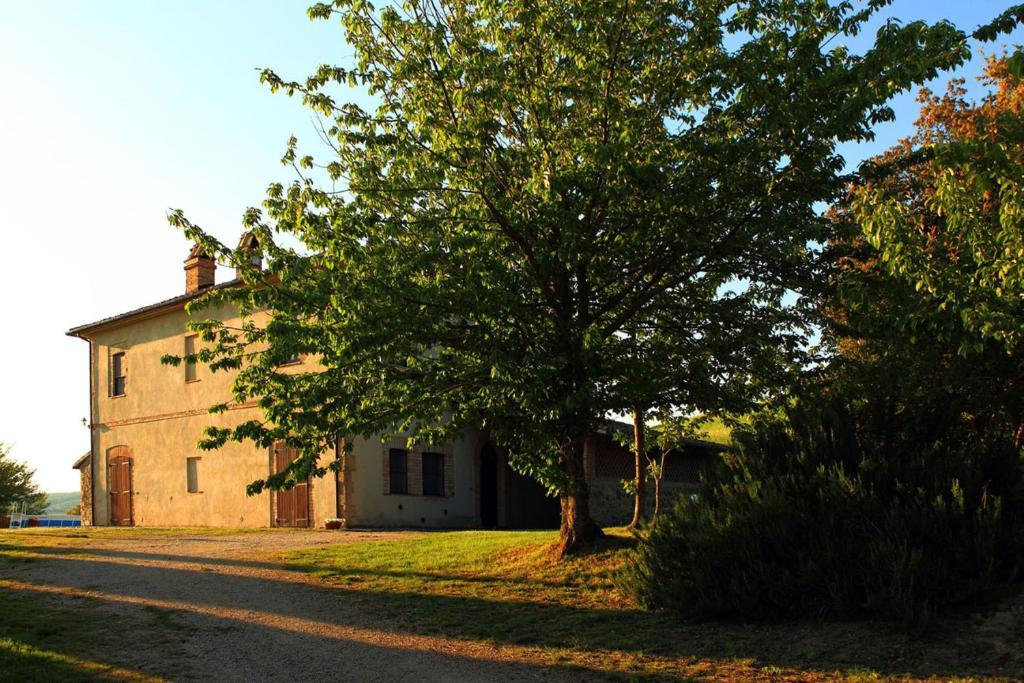 Tenuta Di Corbara Corbara  Cameră foto